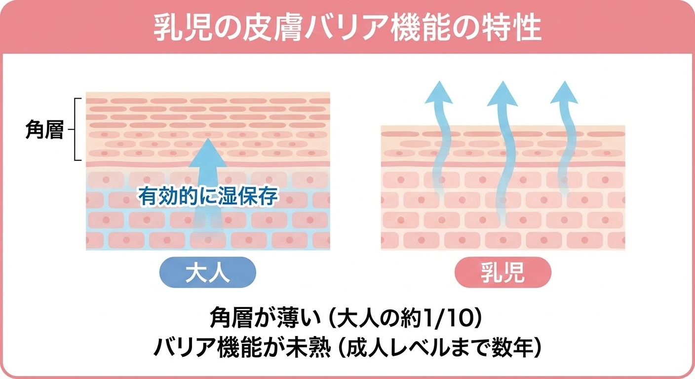乳児の皮膚バリア機能の模式図