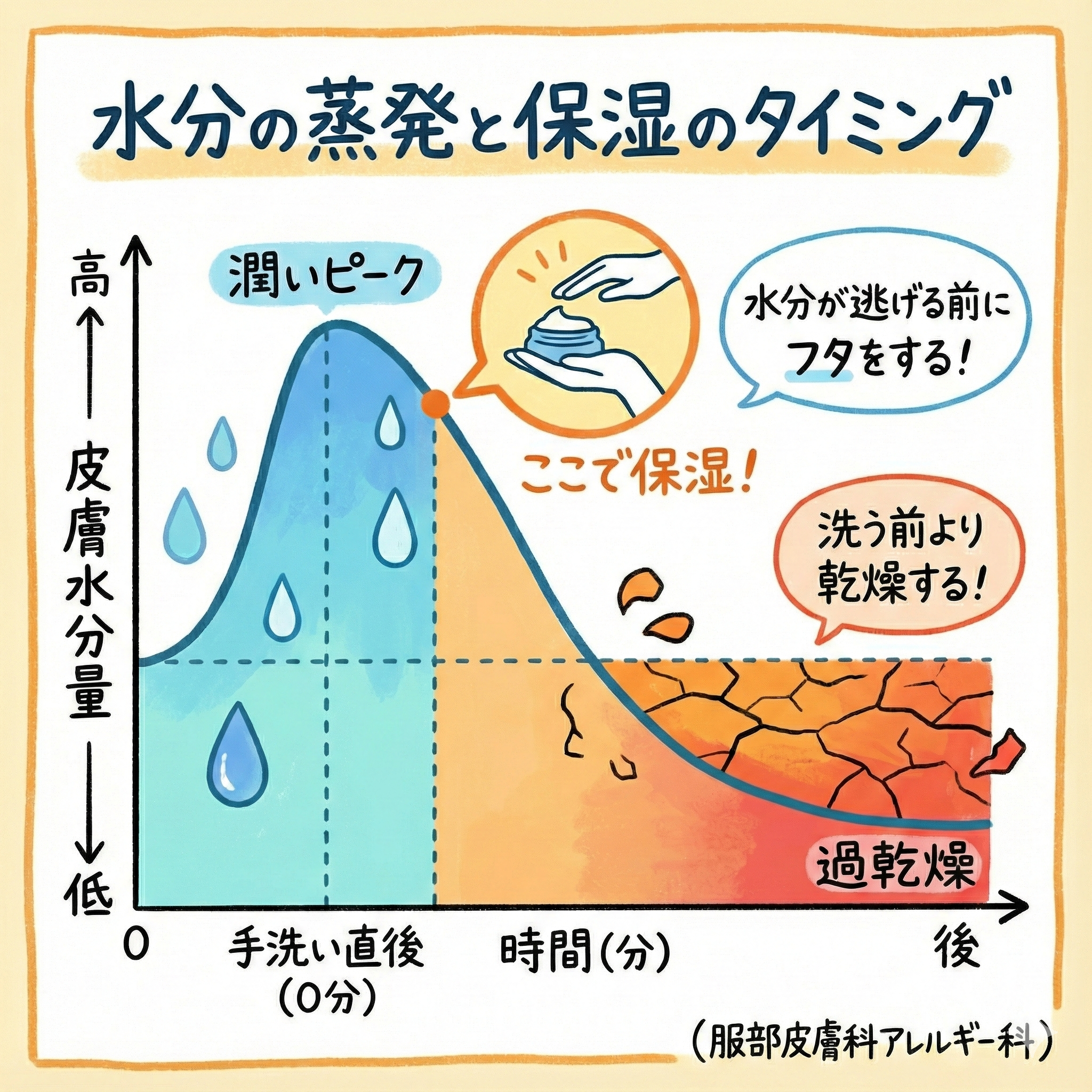 手の保湿のタイミング