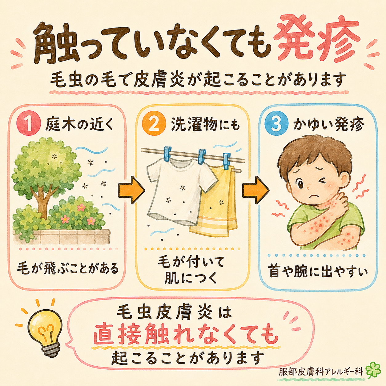 触っていなくても発疹