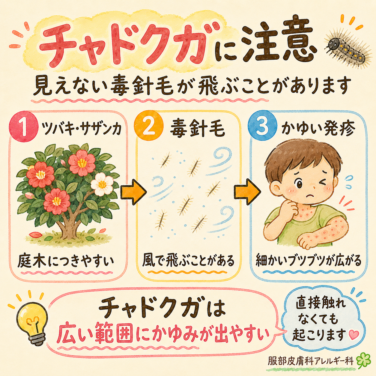 チャドクガに注意