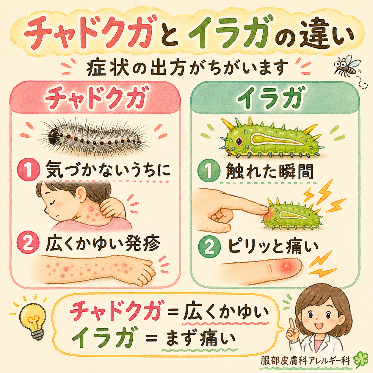 チャドクガとイラガの違い