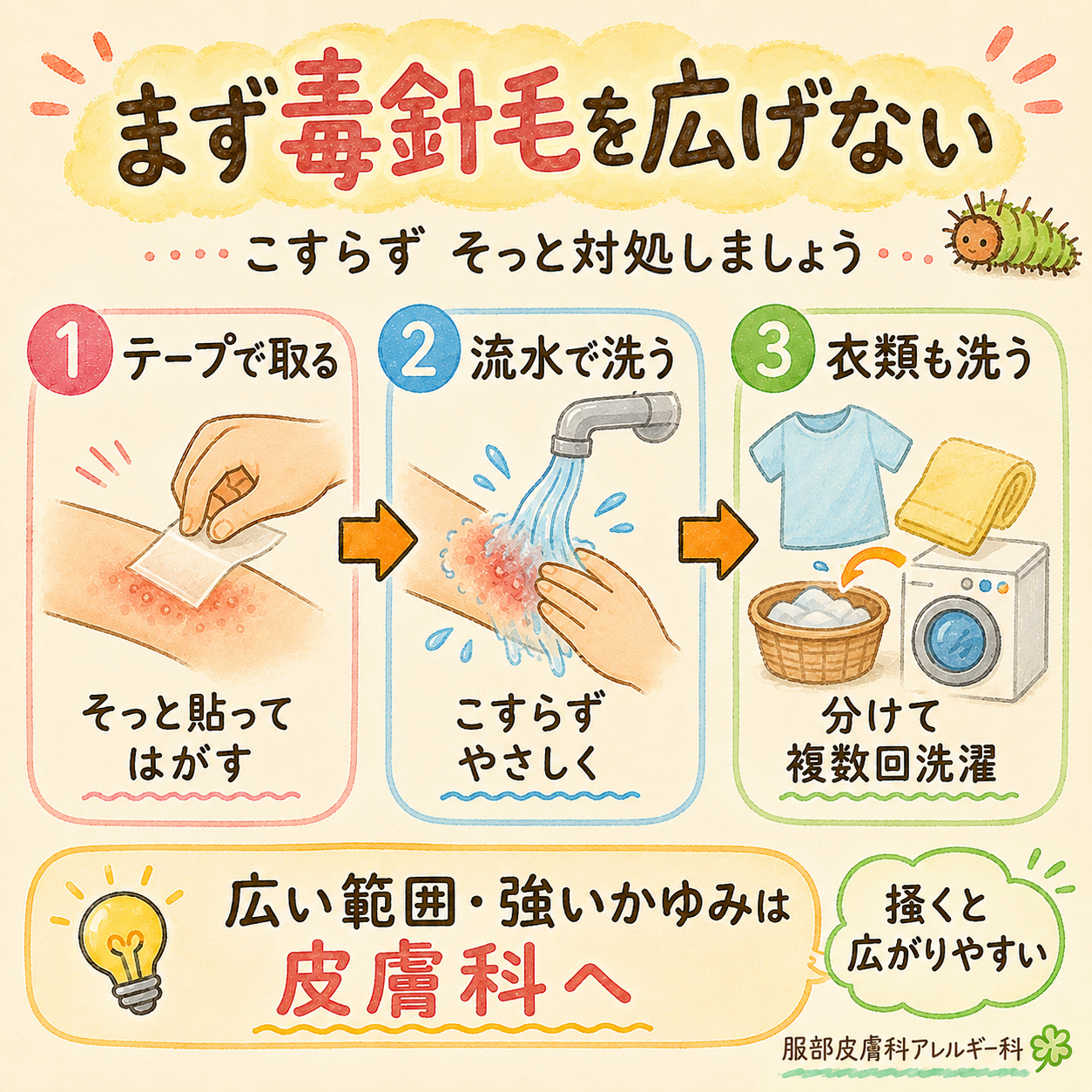 まず毒針毛を広げない