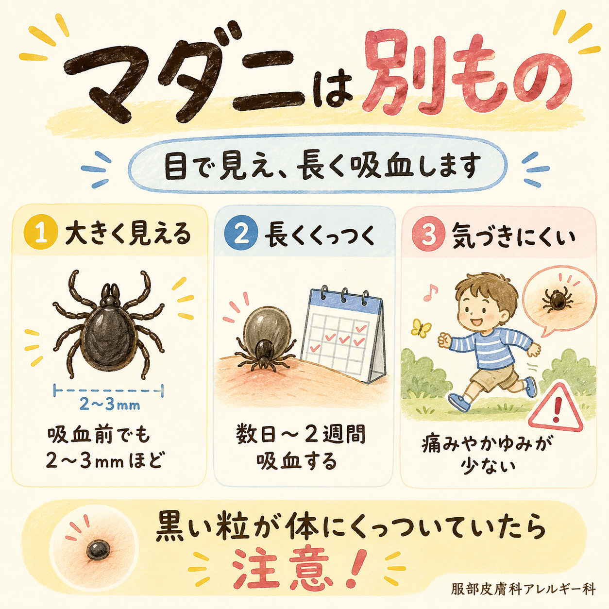 マダニはべつもの